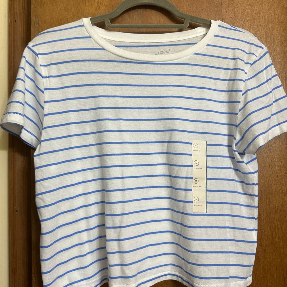 Universal Thread White and Blue Striped Tee